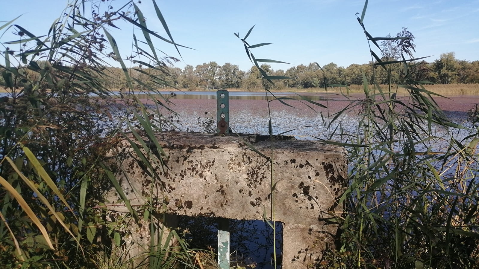 GR® de Pays - Beaujolais-Bugey par la Dombes