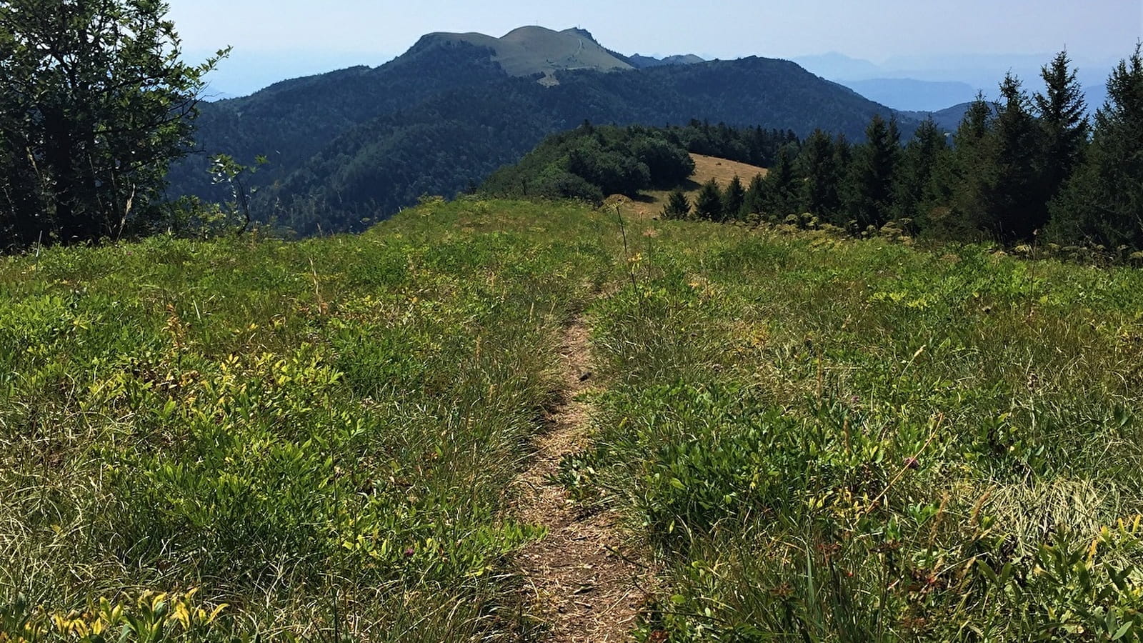 Circuit de randonnée pédestre : Les crêtes d'Hergues