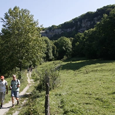 Les Falaises et le Château