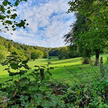 Sentier botanique de Rurey - RUREY