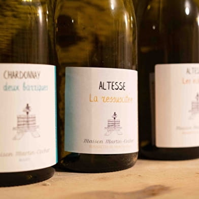 Maison Martin-Cocher