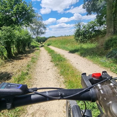 Circuit VTT n°10 - Lé prô, lé beû de Foissiat-Etrez (prés et bois)