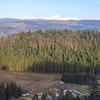 Les 2 versants Praille et Terre Ronde - Parcours de trail n°23 - PLATEAU D'HAUTEVILLE