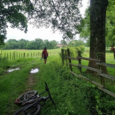 Circuit VTT n°23 (noir) La Grande Sarrasine Tour