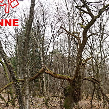 La Rand'Ocre - POURRAIN