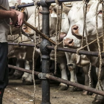 Valletin - SAINT-CHRISTOPHE-EN-BRIONNAIS