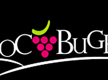 Caveau Sandrine BIGOT - BOYEUX-SAINT-JEROME