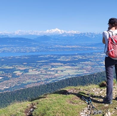 Parcours Trail : La quête du plus beau panorama d'Europe