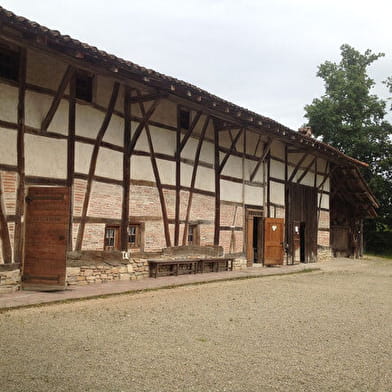 Liaison VTT (L) Liaison Base de loisirs de la Grange du Pin - Ecomusée Pays en Bresse