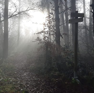 Falaise de Chatillon - Maquis de l'Ain, camp de Chalours