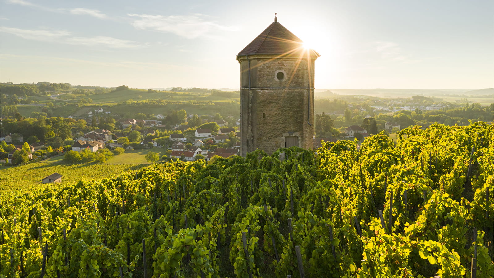 Prendre de la hauteur pour mieux admirer Arbois !
