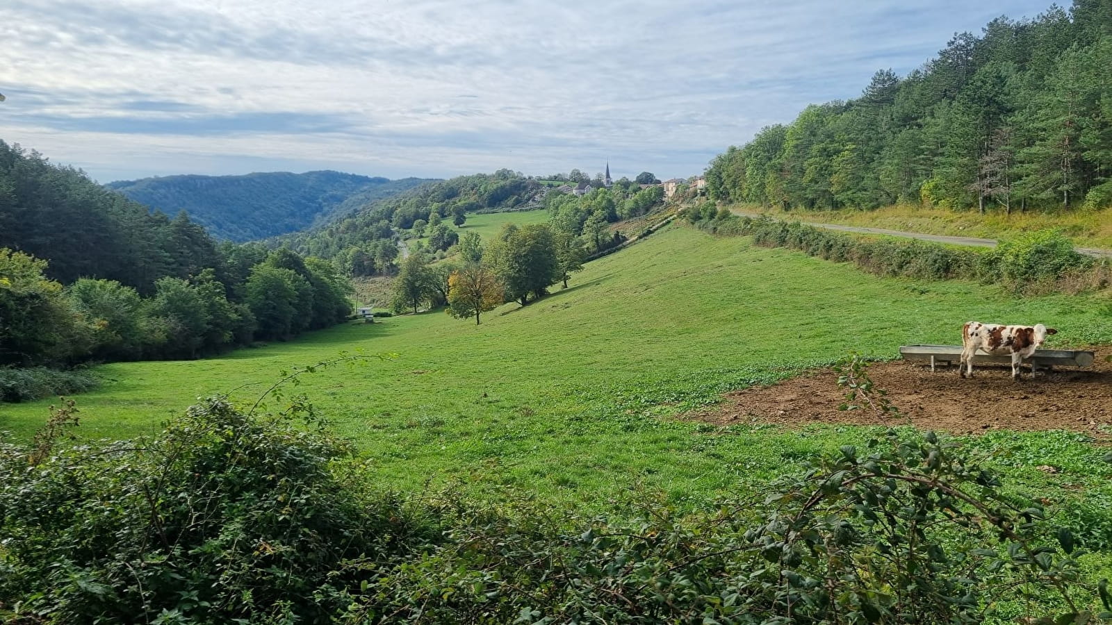 Tour du plateau d'Arnans - Crête des Trénoz