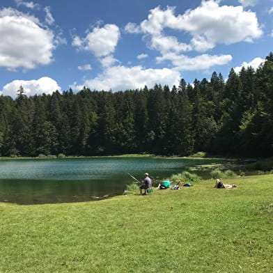 Parcours VTTAE 68 vert - Lac Genin et les bois de Puthod et des Millières - Espace FFC Ain Forestière