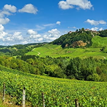Tour du Jura Vélo Loisirs – Étape 4 : Poligny - Chaumergy - POLIGNY