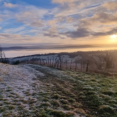 Randonnée - Coligny et le plateau de Vergongeat