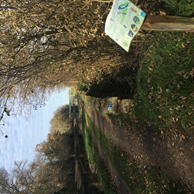 Du canal aux pâturages - PR 30