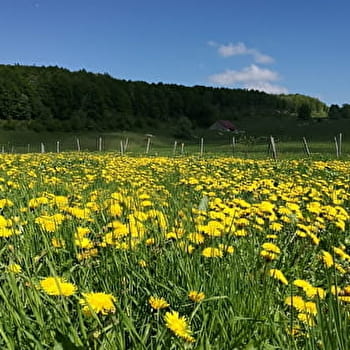 L'alpage du Retord - VALSERHONE