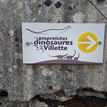 Les empreintes de dinosaures de Villette - HAUTECOURT-ROMANECHE