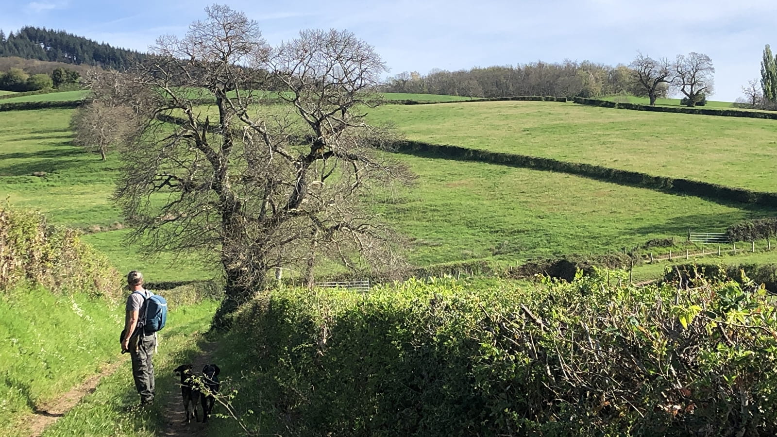 Vers les pâtures du sud Morvan