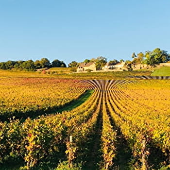 Balade du soir en automne - 