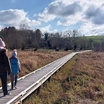 Le Sentier de la zone humide de Donzy - DONZY