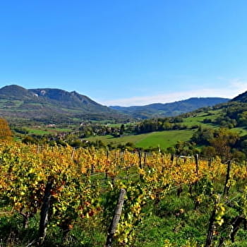 Marnoz-Aiglepierre - MARNOZ