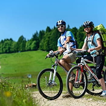 Parcours VTT 31 bleu - Les fermes de Retord - Espace FFC Ain Forestière - VALSERHONE