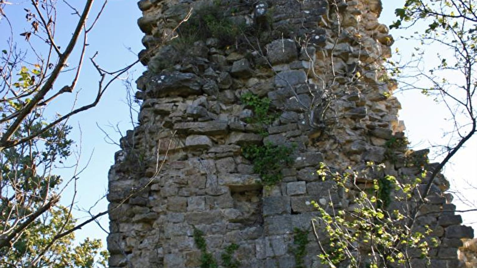 Balade - Ruines du château de Montfort
