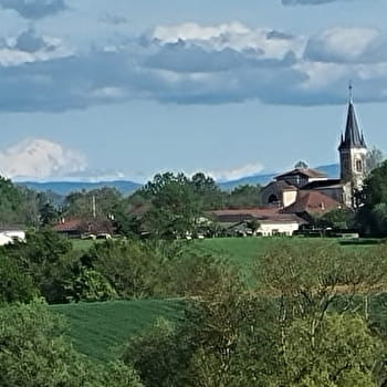 Circuit VTT-VTC n°27 (noir) - Les domaines de Bresse - MONTREVEL-EN-BRESSE