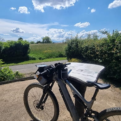 Circuit VTT-VTC n°26 (noir) - Tour de St Didier d'Aussiat