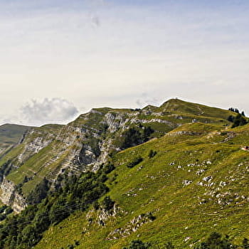 Randonnée pédestre : La Faucille - Les deux Montronds - GEX
