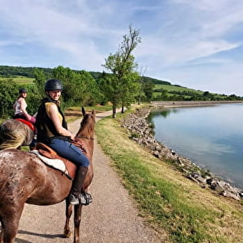 Randonnée équestre 'Les anis de Flavigny' - NORMIER