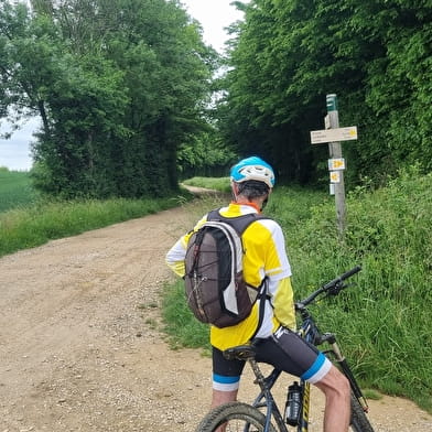 Circuit VTT n°23 (noir) La Grande Sarrasine Tour