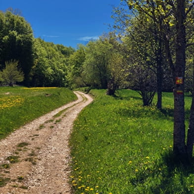 Randonnée sur la Grande Traversée du Jura : 3 jours du Plateau de Retord au Grand Colombier