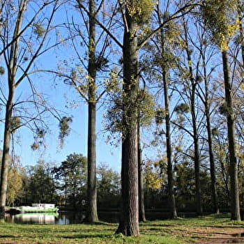 Sur les traces du muguet - ARTAIX