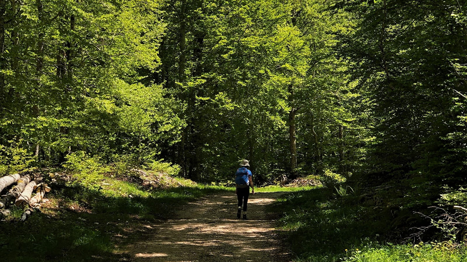 Circuit de randonnée le Tour de Retord