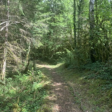 Randonnée - Les Granges