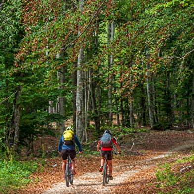 Grande Traversée du Jura VTT
