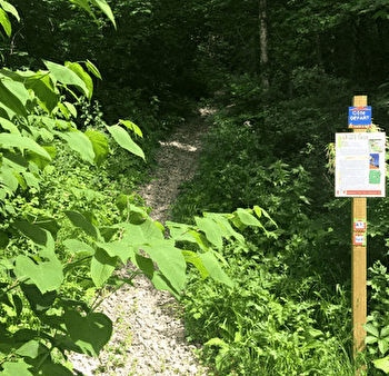 L'atelier Côte Force de Nantua - NANTUA