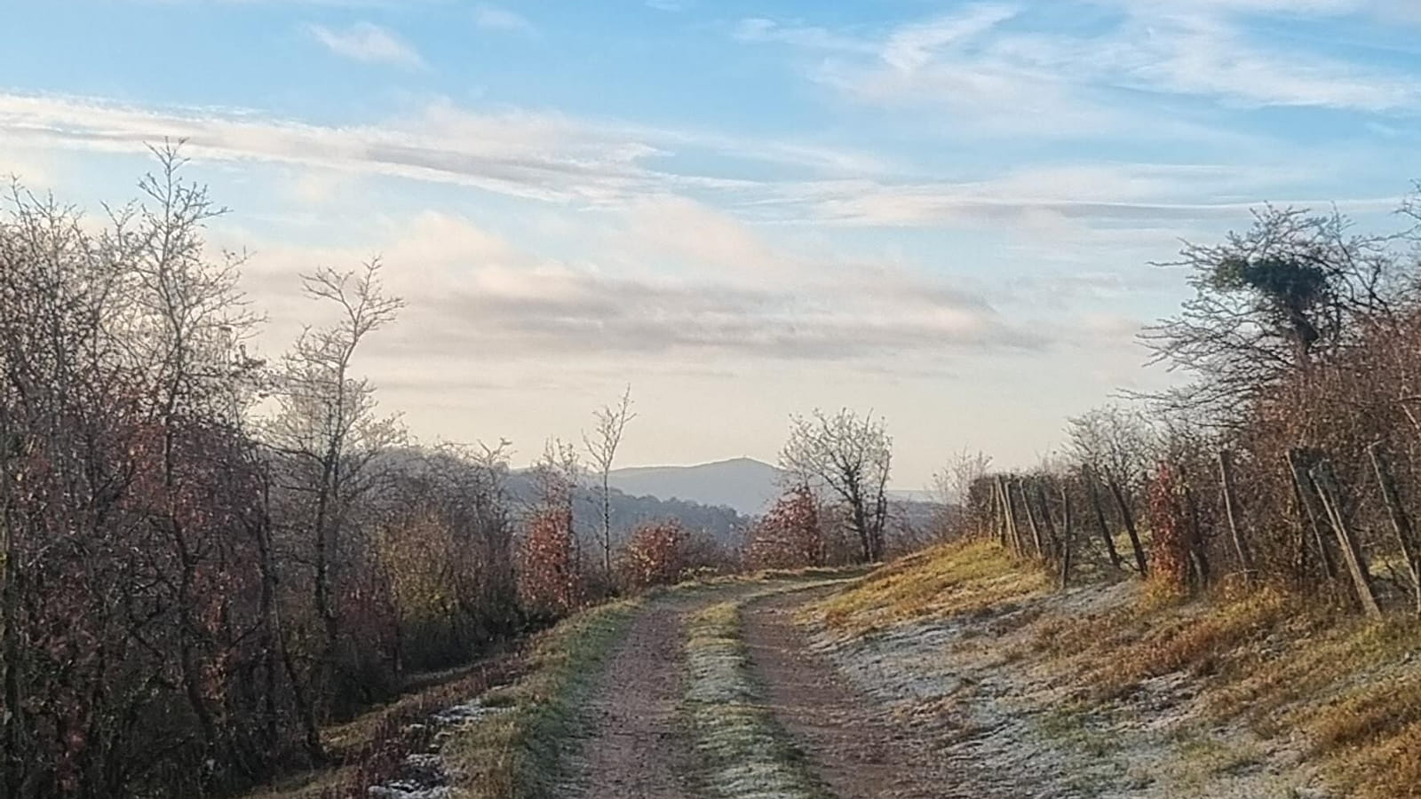 Randonnée - Coligny et le plateau de Vergongeat