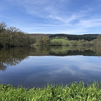 Vers les pâtures du sud Morvan - SAINT-LEGER-SOUS-BEUVRAY