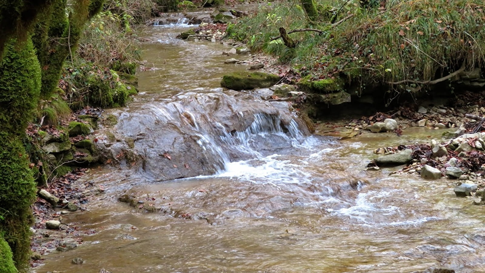 Ruisseau de Cornebouche