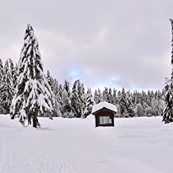 Itinéraire Raquettes du Plateau de Retord R11 au départ de la Chapelle - HAUT VALROMEY