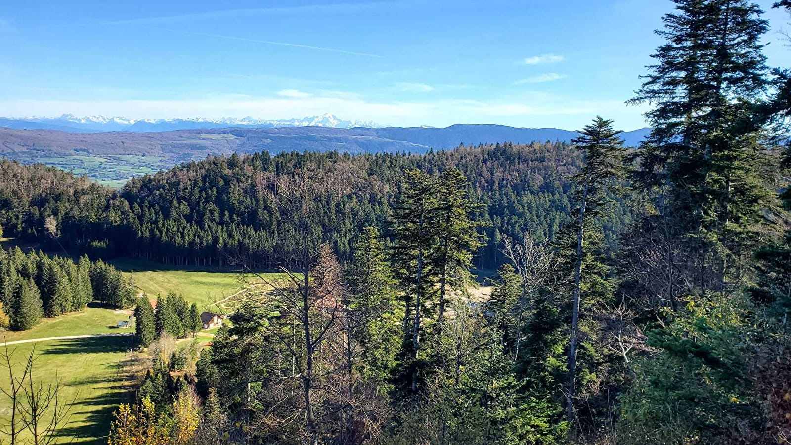 Parcours VTT 62 vert - Le Liaz d'Amont - Espace FFC Ain Forestière