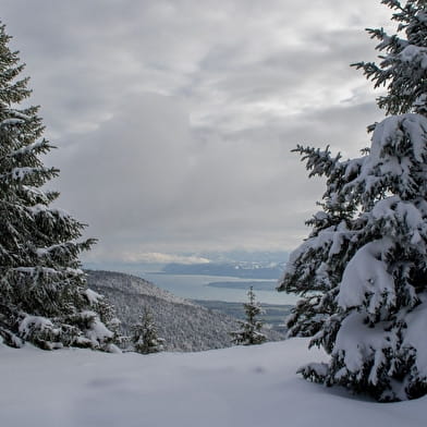 Sentier raquettes de la Faucille au Turet