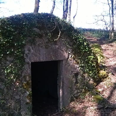 Les berges du Rhône