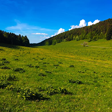 Parcours trail sur les crêtes d'Hergues
