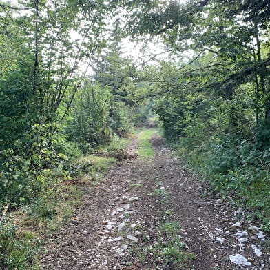 Randonnée - Le sentier du Macretet