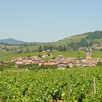 Circuit VTT B7 de Régnié-Durette à Lantignié - REGNIE-DURETTE