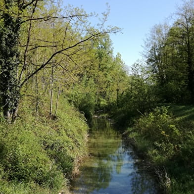 Sentier des lônes et îles du Haut-Rhône